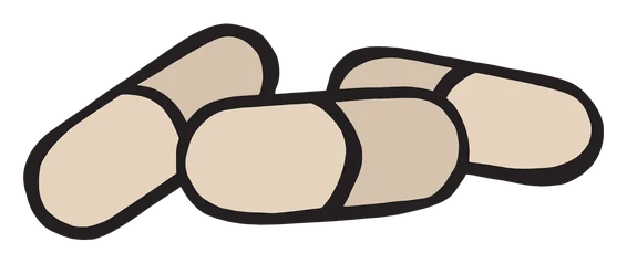 Three hand-drawn capsules
