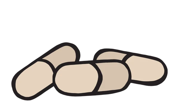 Three hand-drawn capsules